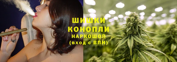 прущие крисы Верея