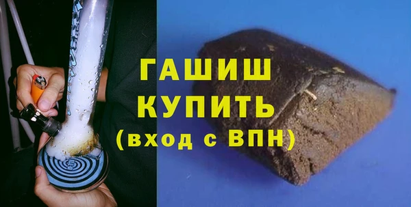 шишки Бородино