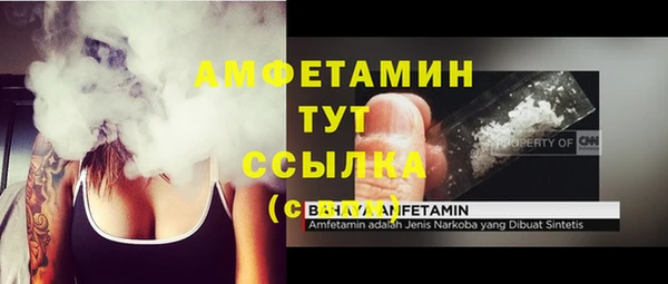 шишки Бородино