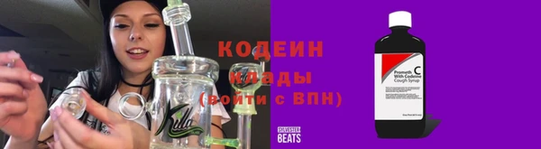 шишки Бородино