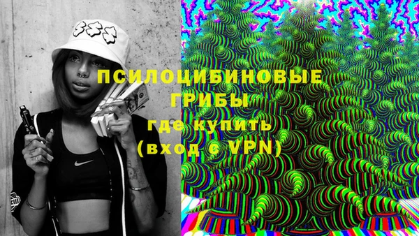шишки Бородино