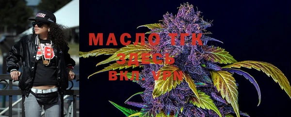 шишки Бородино