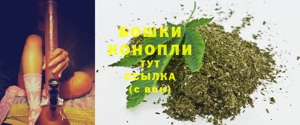 шишки Бородино