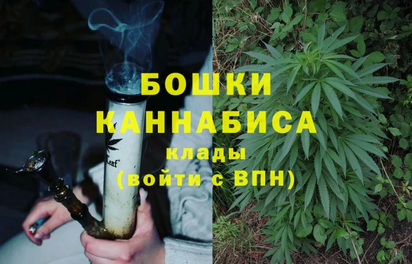 МДПВ Верхний Тагил