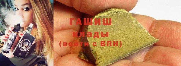 шишки Бородино
