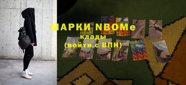 шишки Бородино